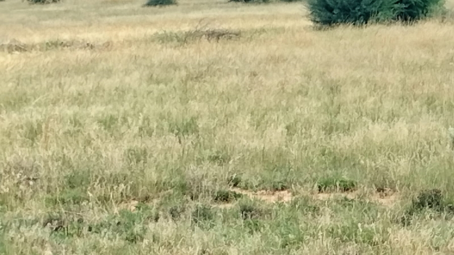 Commercial Property for Sale in Highveld Free State